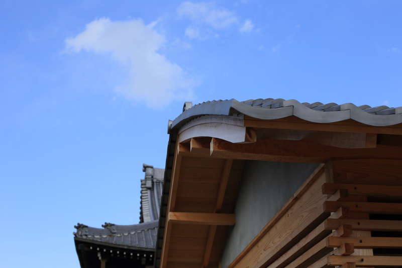 むくりの屋根